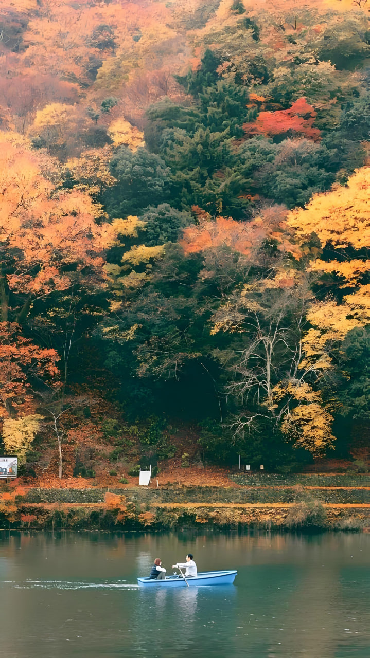 最新电影5